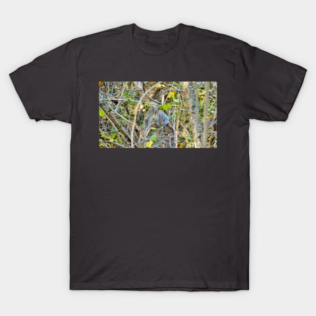 A Squirrel Hiding In The Bushes. T-Shirt by BackyardBirder